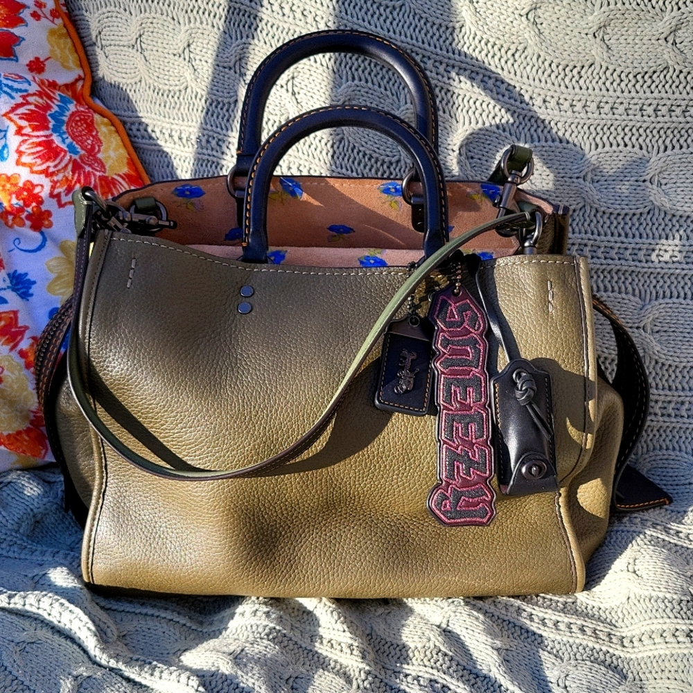 Coach X Disney rogue 30